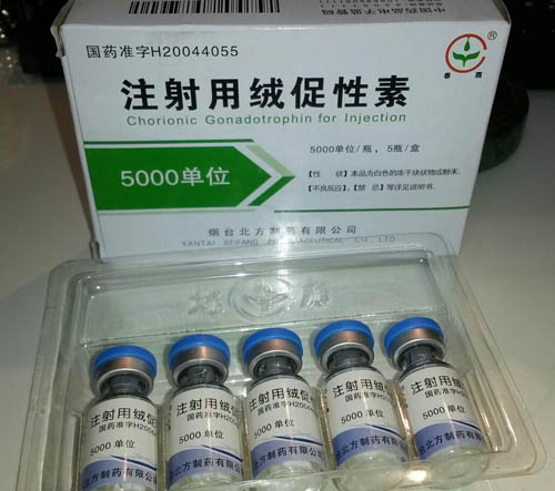 Pregnyl (Generic HCG/Human Chorionic Gonadotropin)